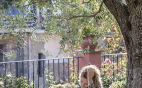 Der Garten bietet schöne Plätze zum Entspannen - Foto: Stefano Scatà